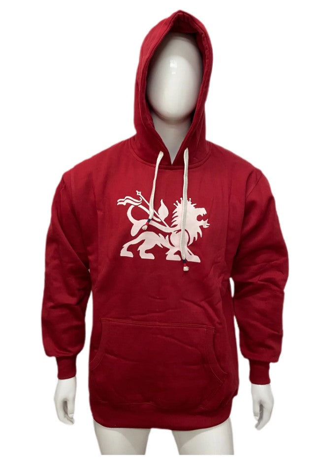 Lion of Judah Unisex Hoodie
