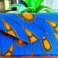 Yassa's Ankara Purse