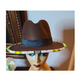 Frannie's Customized Fedora Hats-Set A